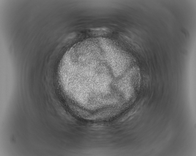 X0000113241393200910011316