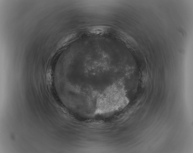 X0000113241394200910011316