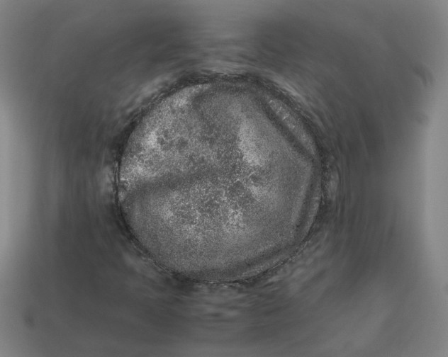 X0000113241397200910011316