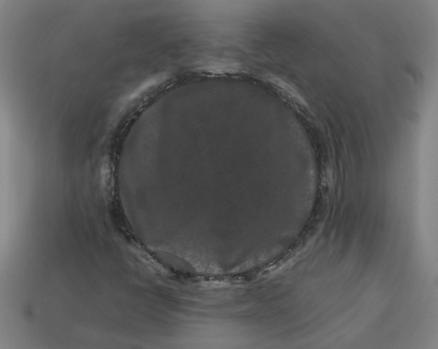 X0000113241398200910011316