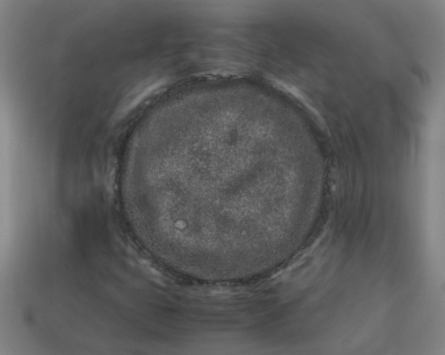 X0000113241399200910011316