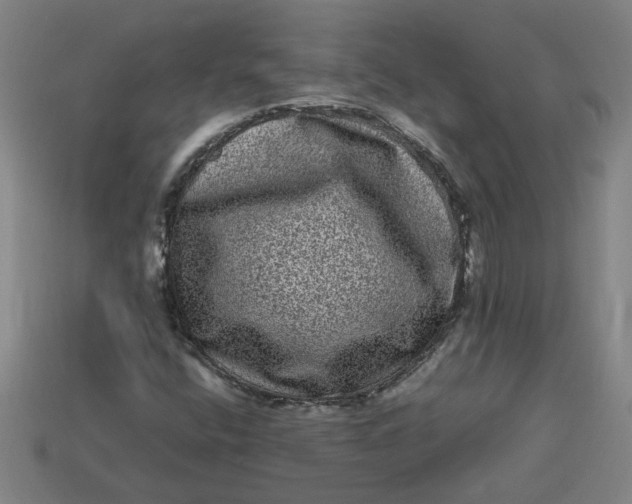 X0000113241400200910011316