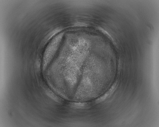 X0000113241401200910011316