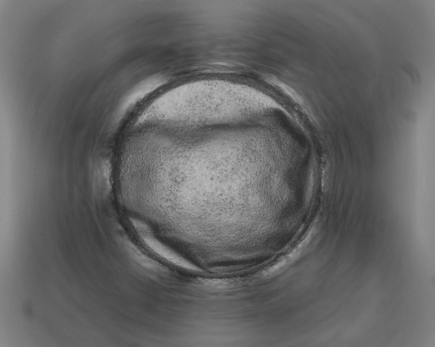 X0000113241402200910011317