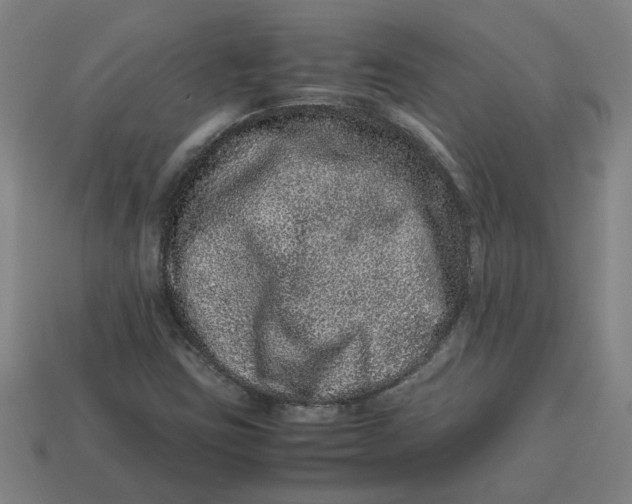 X0000113241403200910011317