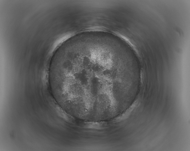 X0000113241405200910011317