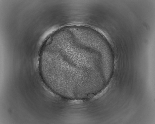 X0000113241406200910011317