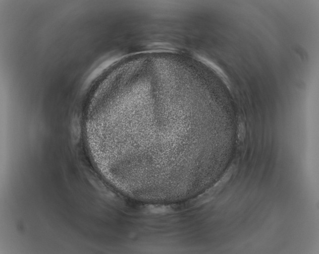 X0000113241407200910011317