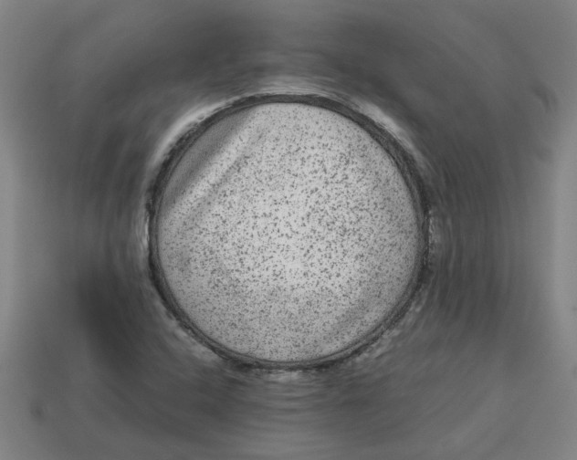 X0000113241408200910011317