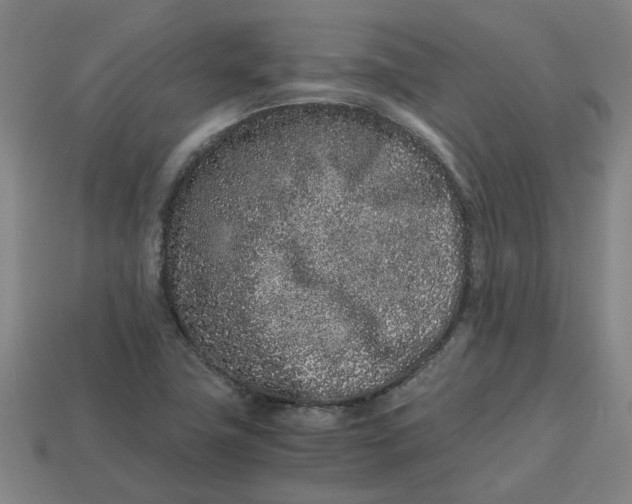 X0000113241411200910011317