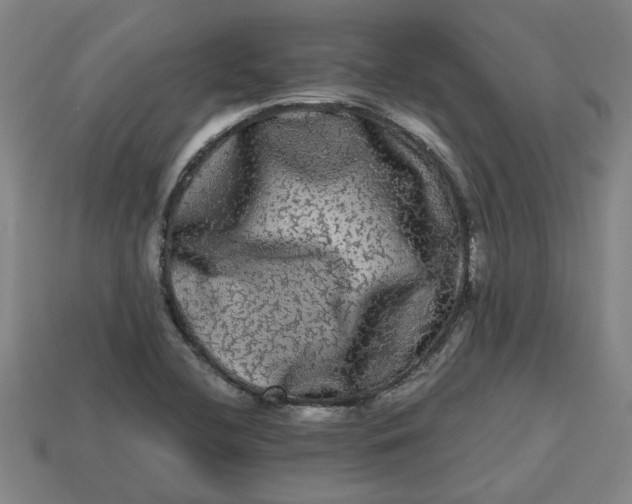 X0000113241412200910011317