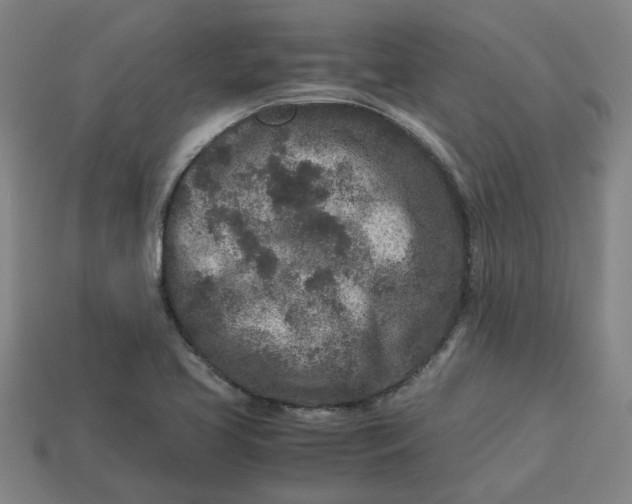 X0000113241413200910011317