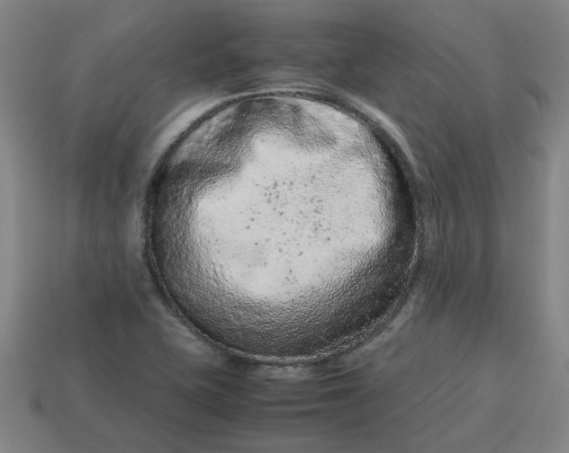 X0000113241415200910011317