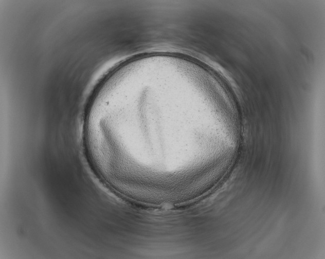 X0000113241416200910011317