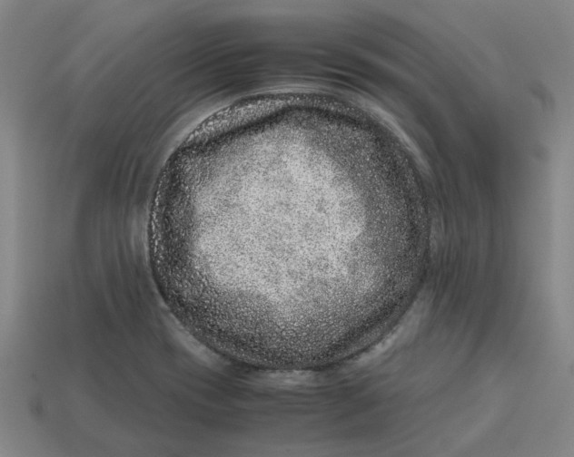 X0000113241417200910011317