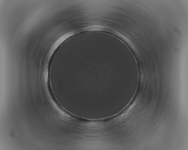 X0000113241418200910011317