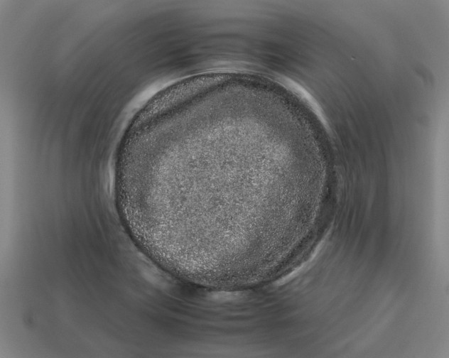 X0000113241419200910011317