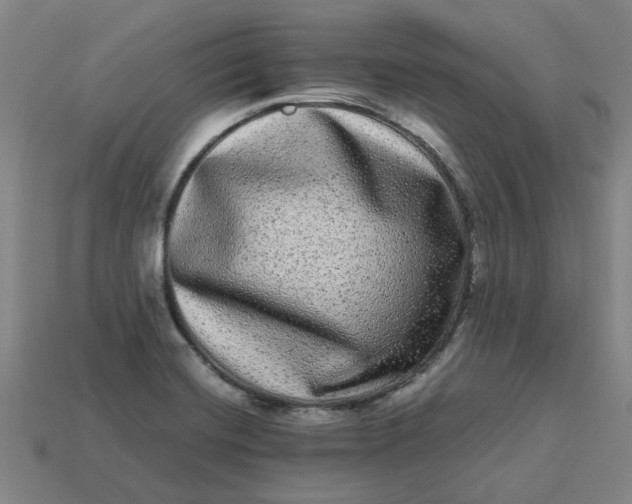 X0000113241420200910011317