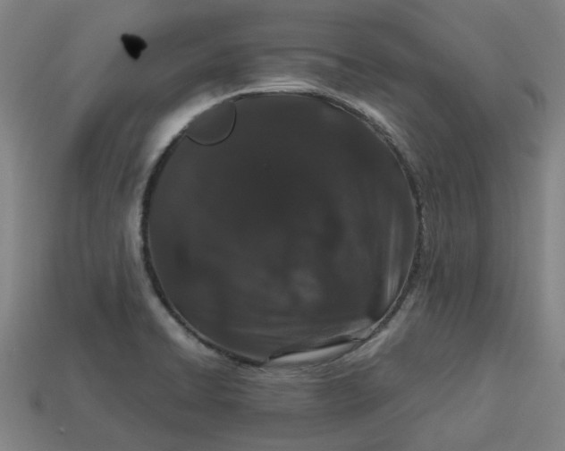 X0000113241422200910011317