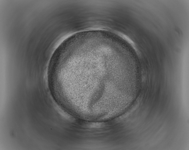 X0000113241423200910011317