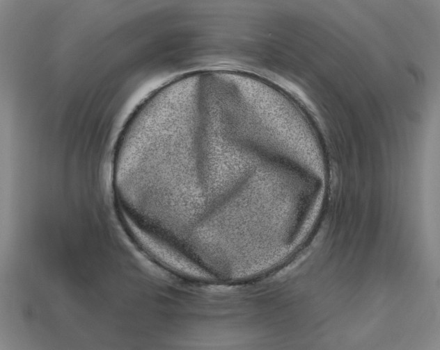 X0000113241424200910011317