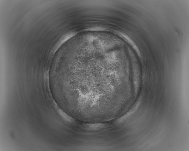 X0000113241425200910011317