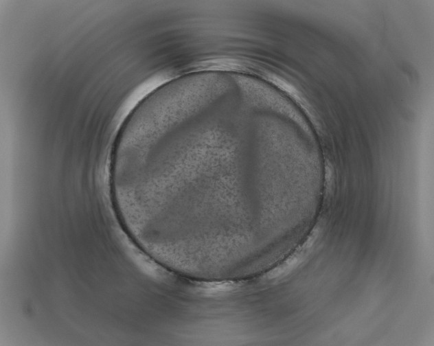 X0000113241426200910011317