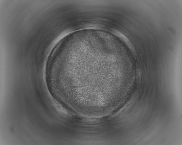 X0000113241427200910011317