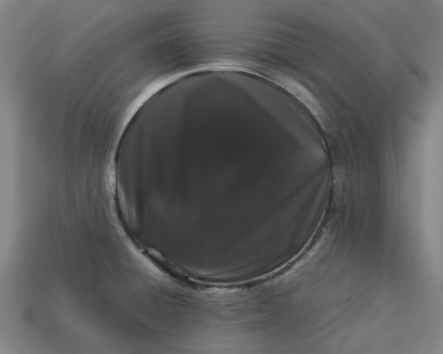 X0000113241428200910011317