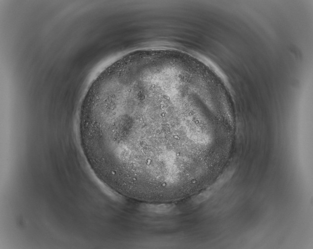 X0000113241429200910011317