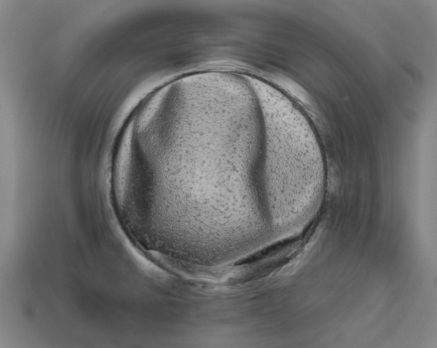 X0000113241430200910011317