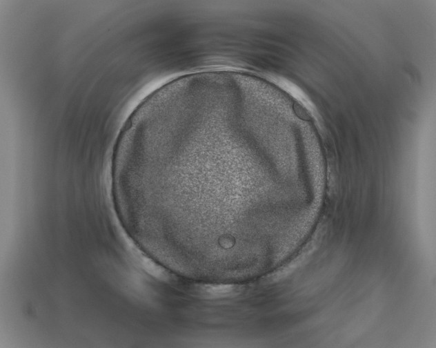 X0000113241431200910011317