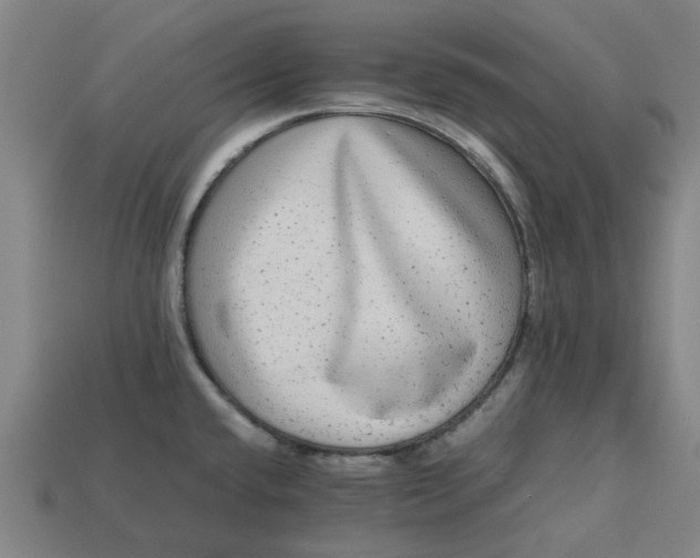 X0000113241432200910011317