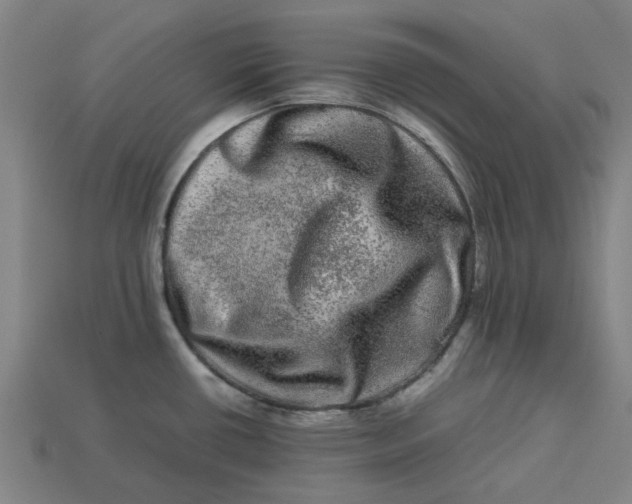 X0000113241434200910011317