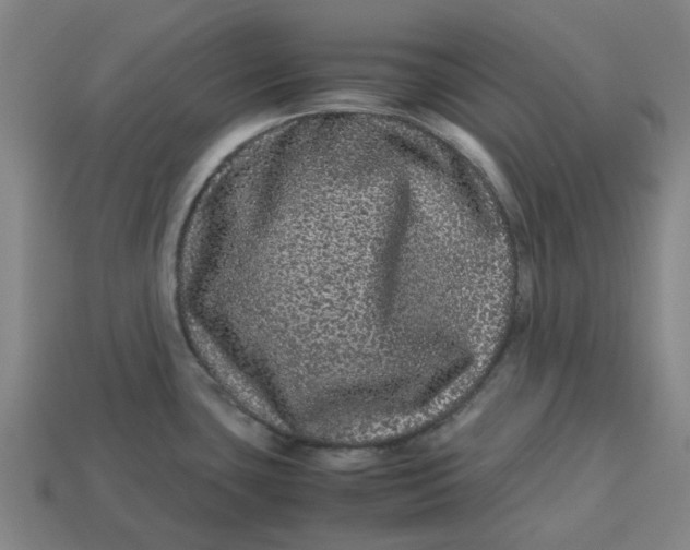 X0000113241435200910011317