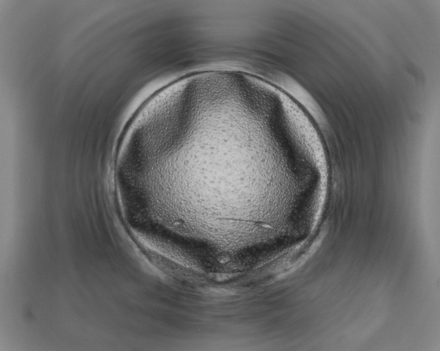 X0000113241436200910011317