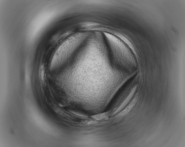 X0000113241438200910011317