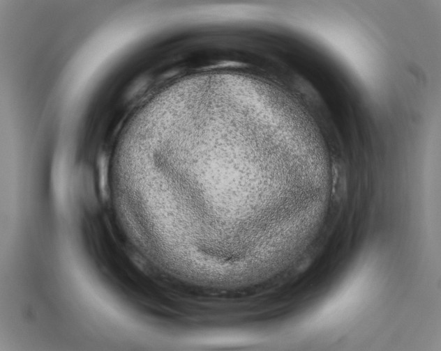 X0000113241439200910011317