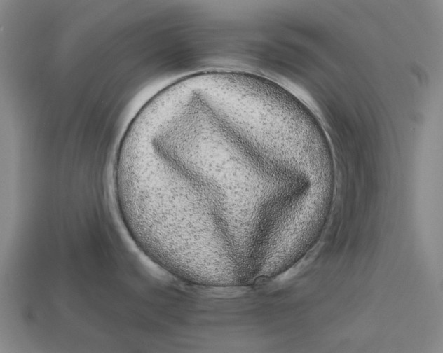 X0000113241440200910011317