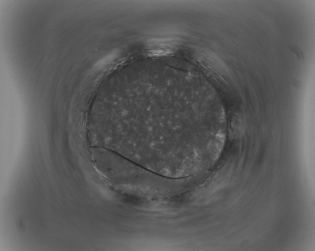 X0000113241441200910011316