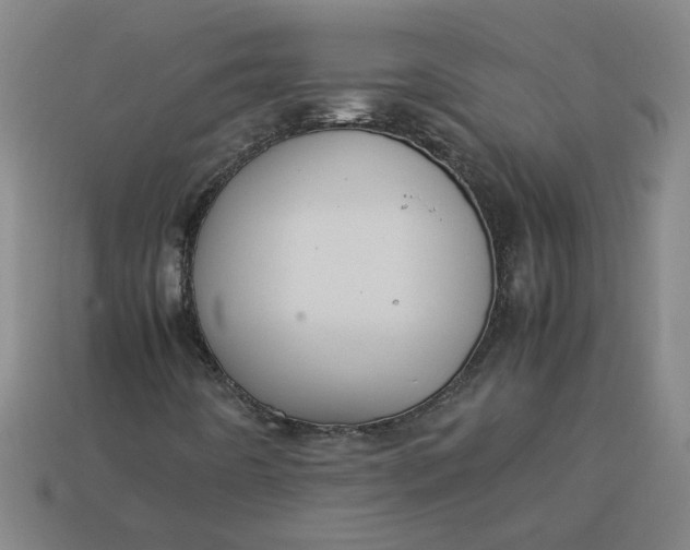 X0000113241442200910011316