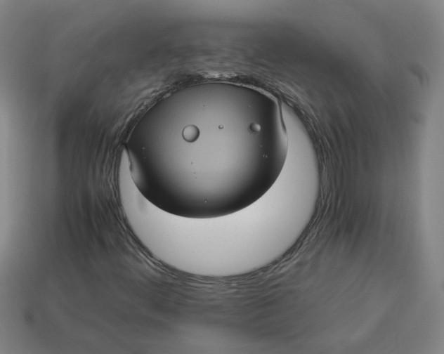 X0000113241444200910011316