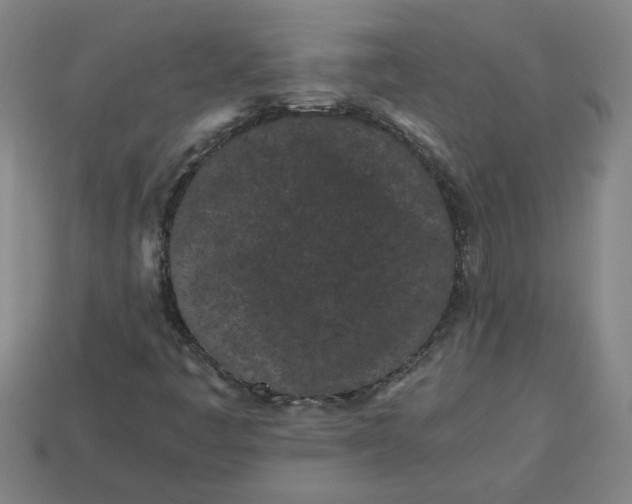 X0000113241445200910011316