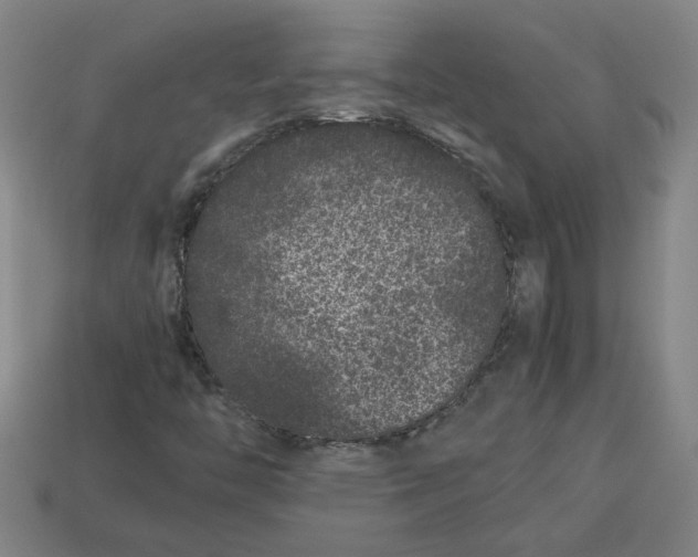 X0000113241446200910011316