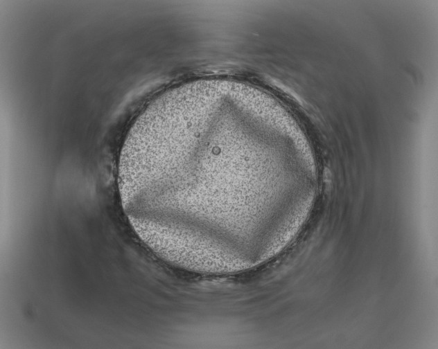 X0000113241447200910011316