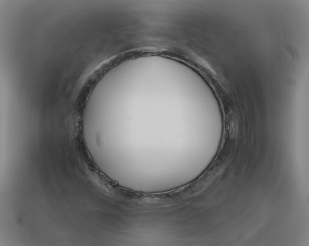 X0000113241448200910011316