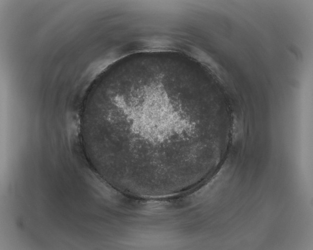 X0000113241449200910011316