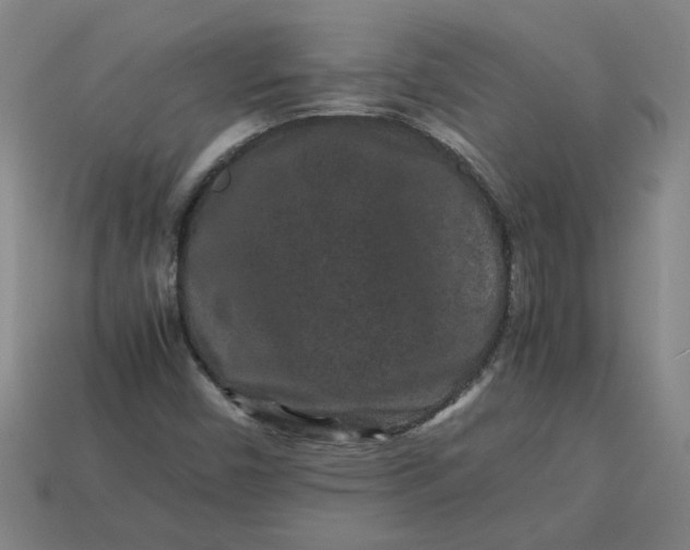 X0000113241450200910011316