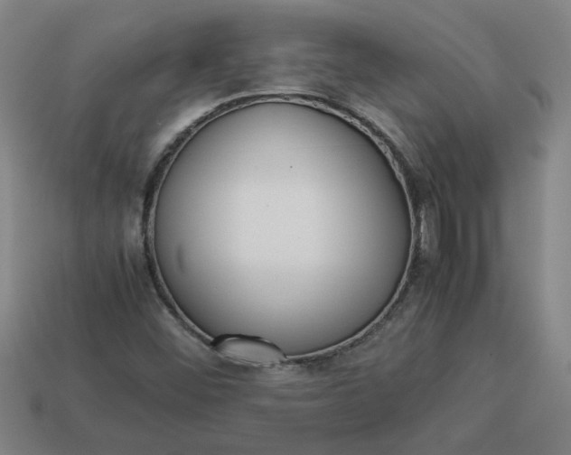 X0000113241452200910011316