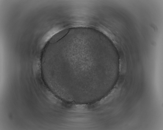 X0000113241453200910011316